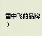 雪中飛的品牌（雪中飛SnowFlying品牌介紹）