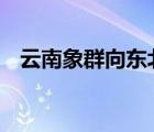 云南象群向東北方迂回移動 目前情況如何