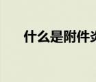 什么是附件炎性包塊（什么是附件炎）