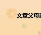文章父母家庭背景 文章父母資料