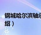 鋼城哈爾濱軸承hrb（哈爾濱軸承HRB品牌介紹）