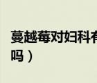 蔓越莓對婦科有好處嗎（蔓越莓對婦科有效果嗎）