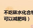 不吃碳水化合物可以吃什么（不吃碳水化合物可以減肥嗎）