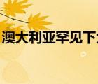 澳大利亞罕見下大雪 澳大利亞為何下雪（圖）