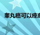 睪丸癌可以痊愈嗎（睪丸癌能徹底治愈嗎）