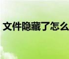 文件隱藏了怎么解開(kāi)（文件隱藏了怎么恢復(fù)）
