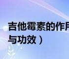 吉他霉素的作用與功效用法（吉他霉素的作用與功效）