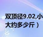 雙頂徑9.02,小孩有多少斤（雙頂徑9.6的孩子大約多少斤）
