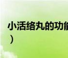 小活絡(luò)丸的功能作用（小活絡(luò)丸的功能是什么）