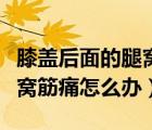 膝蓋后面的腿窩筋痛到腳底麻（膝蓋后面的腿窩筋痛怎么辦）