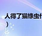 人得了貓絳蟲(chóng)什么癥狀（人得了貓絳蟲(chóng)的癥狀）
