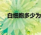 白細(xì)胞多少為正常值（白細(xì)胞多少算高）