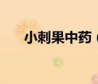 小刺果中藥（小刺果子的功效與作用）