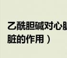 乙酰膽堿對(duì)心臟的作用是什么（乙酰膽堿對(duì)心臟的作用）