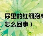 尿里的紅細(xì)胞高是什么原因（尿里紅細(xì)胞高是怎么回事）