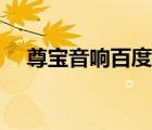 尊寶音響百度百科（尊寶音響品牌介紹）