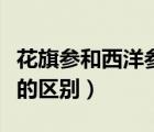 花旗參和西洋參的區(qū)別圖片（花旗參和西洋參的區(qū)別）