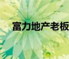 富力地產(chǎn)老板娘張綺雯（富力地產(chǎn)介紹）