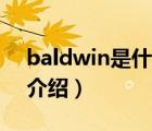 baldwin是什么品牌（Baldwin鮑德溫品牌介紹）