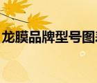 龍膜品牌型號圖表（LLUMAR龍膜品牌介紹）