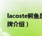 lacoste鱷魚是什么牌子（LACOSTE鱷魚品牌介紹）