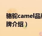 駱駝camel品牌旗艦店男士（駱駝CAMEL品牌介紹）