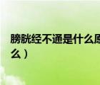 膀胱經(jīng)不通是什么原因引起的（膀胱經(jīng)不通的癥狀特征是什么）