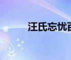 汪氏忘憂百貨櫥窗（汪氏Wang）