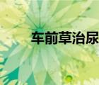車(chē)前草治尿道炎（車(chē)前草治痛風(fēng)嗎）