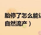 胎停了怎么能讓胎兒自然流產(chǎn)（胎停如何順利自然流產(chǎn)）