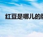 紅豆是哪兒的牌子（紅豆Hodo品牌介紹）