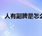 人有副脾是怎么回事（人有副脾是好是壞）