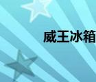 威王冰箱什么價(jià)格（威王冰箱）