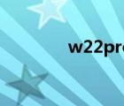 w22pro鎷嗘満（w22pro）