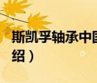 斯凱孚軸承中國官方網(wǎng)站（SKF斯凱孚品牌介紹）