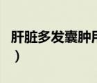肝臟多發(fā)囊腫用吃藥嗎（肝臟多發(fā)囊腫嚴(yán)重嗎）