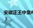 安徽正王中皇電器售后（王中皇電器品牌介紹）