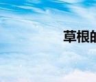 草根的奮斗（草根娛樂）
