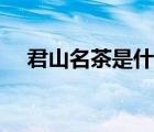 君山名茶是什么茶（君山茶業(yè)品牌介紹）