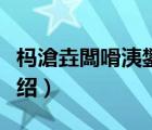 榪滄垚闆嗗洟鐢?shù)璇濆忥L爜（遠成集團品牌介紹）