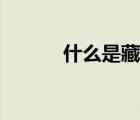 什么是藏毛竇（什么是藏毛竇）