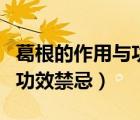 葛根的作用與功效禁忌泡水喝（葛根的作用與功效禁忌）
