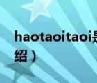 haotaoitaoi是什么牌子（Haotaitai品牌介紹）