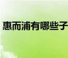惠而浦有哪些子品牌（惠而浦電器品牌介紹）