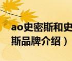 ao史密斯和史密斯是一個牌子嗎（A.O.史密斯品牌介紹）
