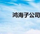 鴻海子公司有哪些（鴻海品牌介紹）