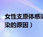 女性支原體感染的原因是什么（女性支原體感染的原因）