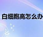 白細胞高怎么辦快速解決（白細胞高怎么辦）