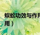 蜈蚣功效與作用及禁忌是什么（蜈蚣功效與作用）