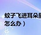 蚊子飛進(jìn)耳朵里了怎么解決（蚊子飛進(jìn)耳朵里怎么辦）